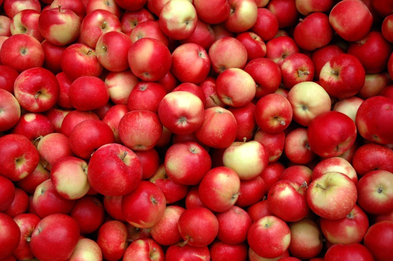 The Rotten Apple Backpackers Hastings Εξωτερικό φωτογραφία